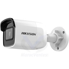Caméra réseau mini-balle fixe WDR 2 MP DS-2CD2021G1-I